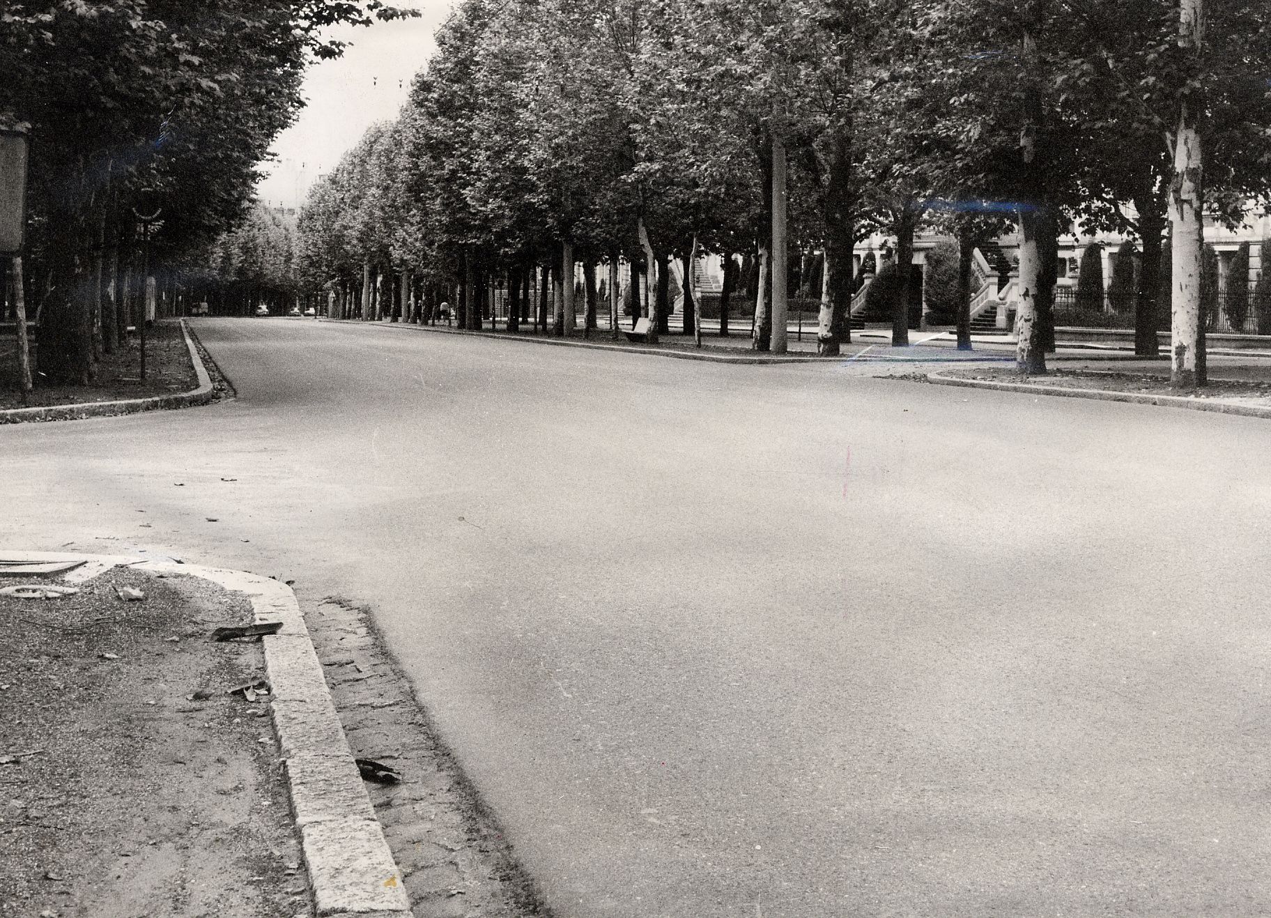 Cours Fauriel : entre promenade et boulevard urbain 